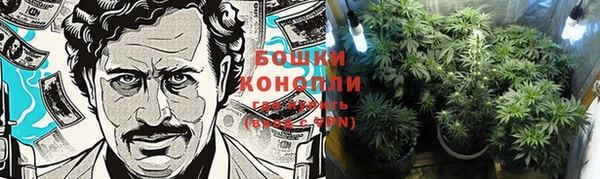 PSILOCYBIN Абаза