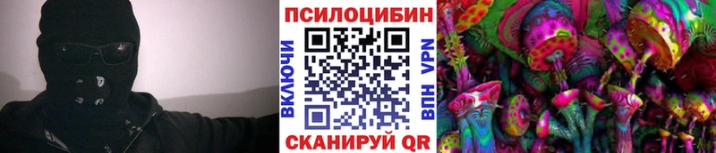 Галлюциногенные грибы Psilocybine cubensis  магазин продажи наркотиков  МЕГА как войти  Миллерово 