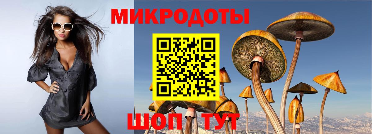 Галлюциногенные грибы Psilocybine cubensis  Вход с VPN  Миллерово  Галлюциногенные грибы GOLDEN TEACHER 